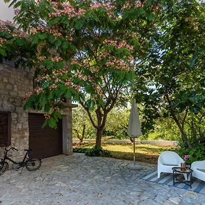 Magnolia , Šilo Kroatien